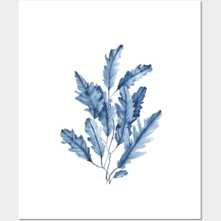 Blue seaweed watercolor art. Posters and Art